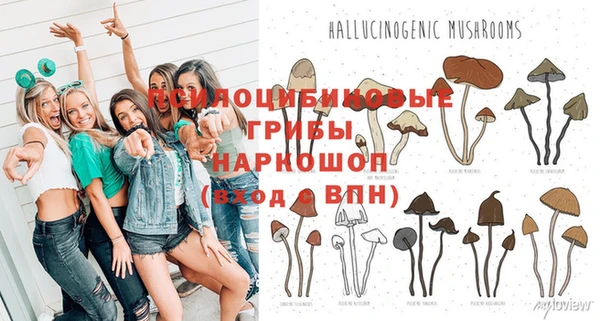 spice Алексеевка