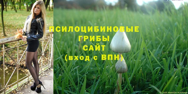 spice Алексеевка